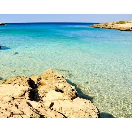 Alghero, Mimosa With Garden For 67 People Alghero