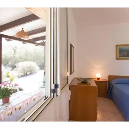 Alghero, Mimosa With Garden For 67 People