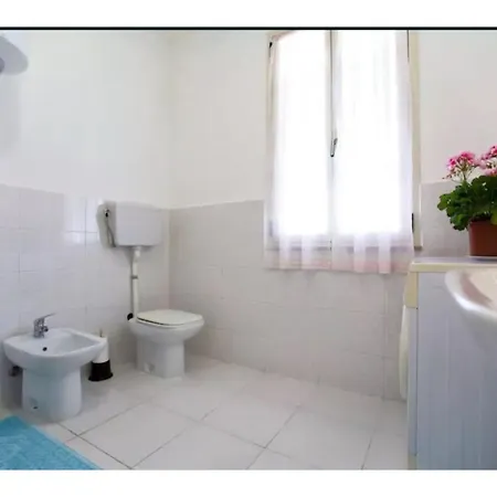Alghero, Mimosa With Garden For 67 People